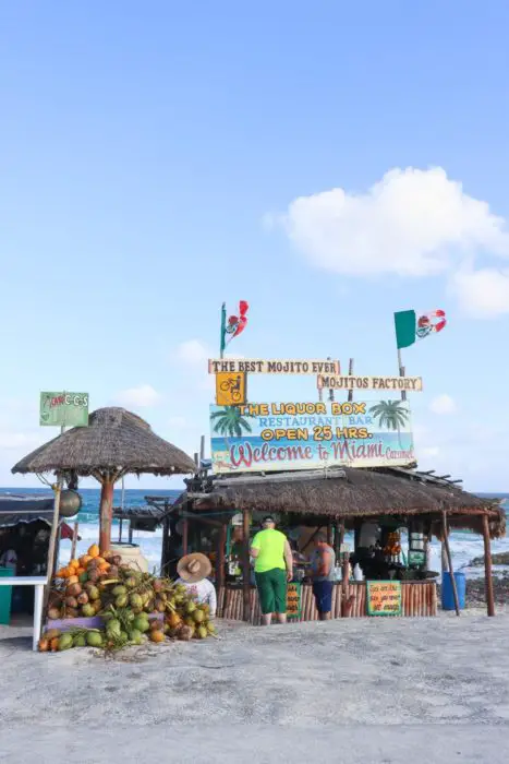 Ultimate Guide: 13 Things To Do In Cozumel & Tips! (With Videos)